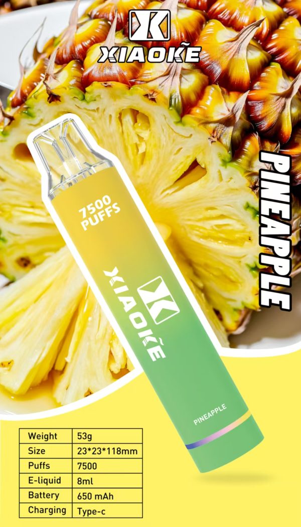 【XIAOKE 梟客】🪄拋棄式🍬 一次性霧化商品 7500口 (可充電)：圖片 4