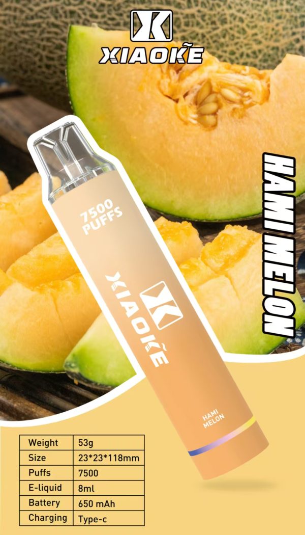 【XIAOKE 梟客】🪄拋棄式🍬 一次性霧化商品 7500口 (可充電)：圖片 3